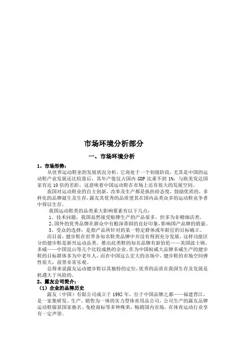 市场环境分析与消费者分析