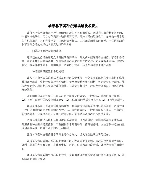 油茶林下套种赤菇栽培技术要点