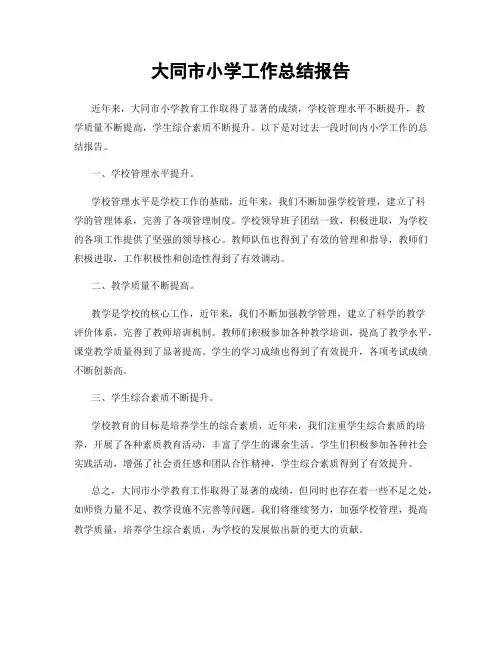 大同市小学工作总结报告