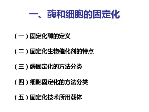 酶工程制药方法