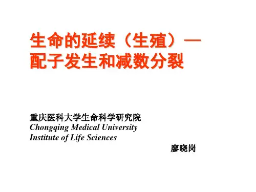 配子发生和减数分裂
