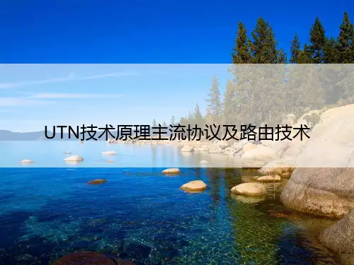 UTN技术原理主流协议及路由技术