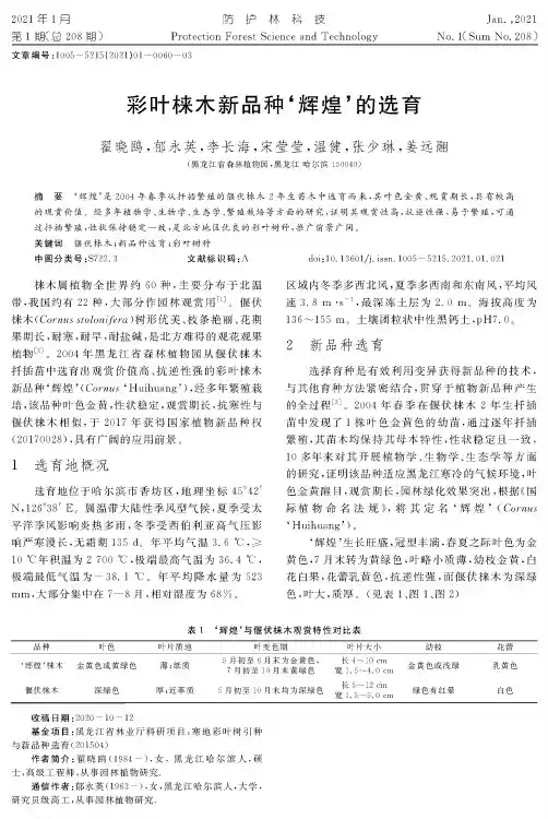 彩叶梾木新品种‘辉煌’的选育