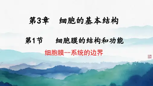 细胞膜的结构和功能ppt课件