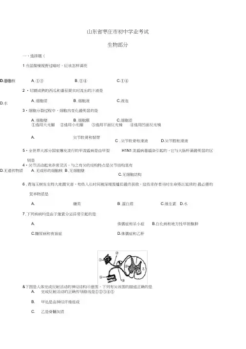 (完整)山东省枣庄市初中学业考试(生物)