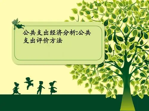 公共支出经济分析7：公共支出评价方法
