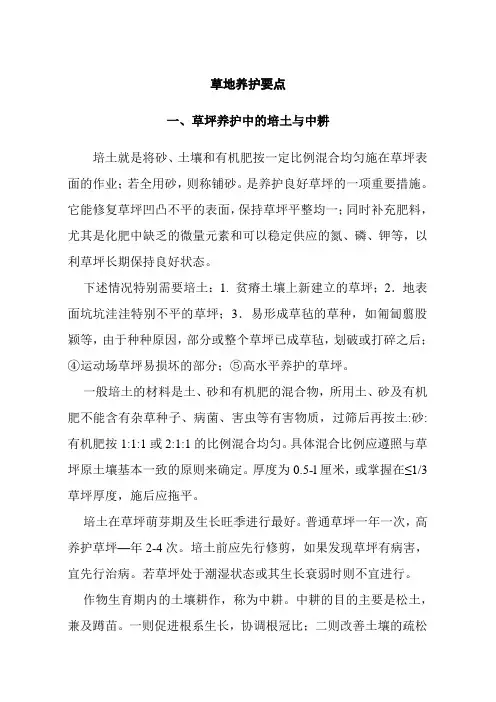 草地养护要点