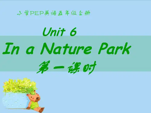 人教版五年级上册英语第六单元课件PPT