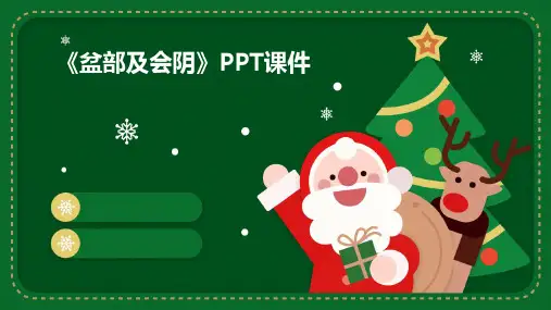 《盆部及会阴》课件