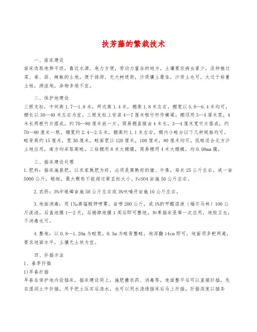 扶芳藤的繁栽技术