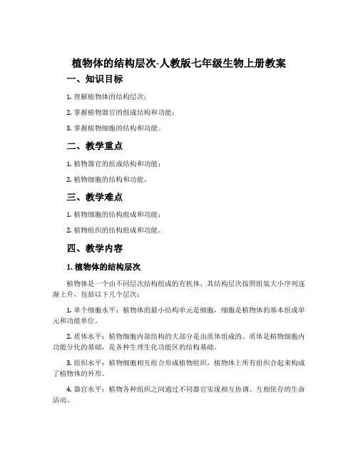 植物体的结构层次-人教版七年级生物上册教案