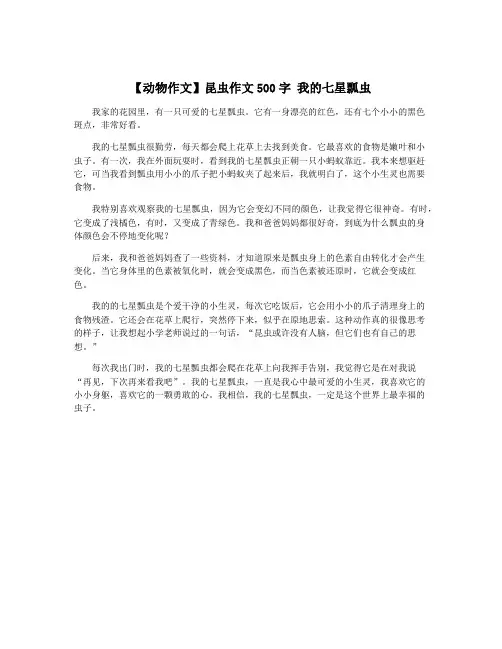【动物作文】昆虫作文500字 我的七星瓢虫