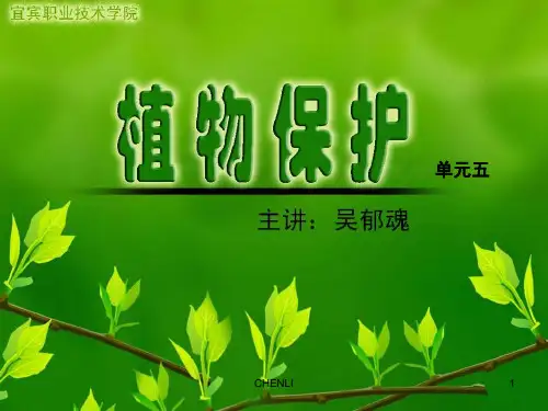 植物保护优秀PPT课件