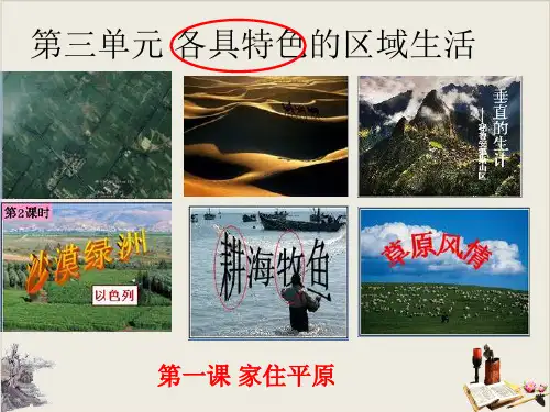 人教版七年级历史与社会上册 3.稻作文化的印记(共28张PPT)