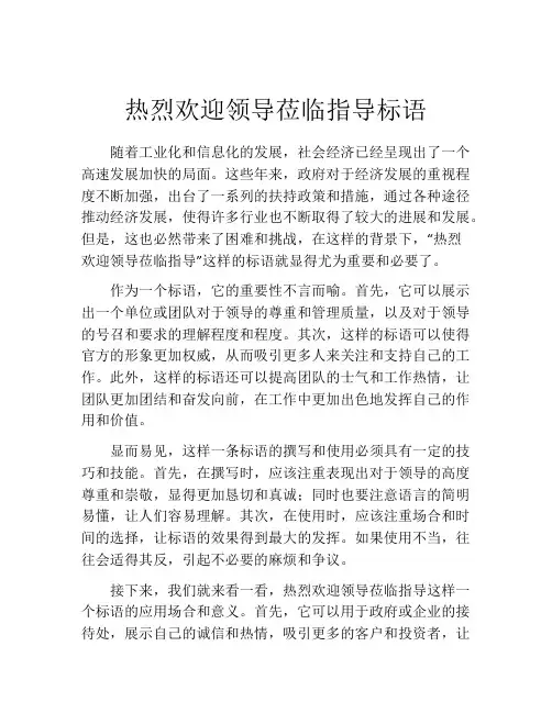 热烈欢迎领导莅临指导标语
