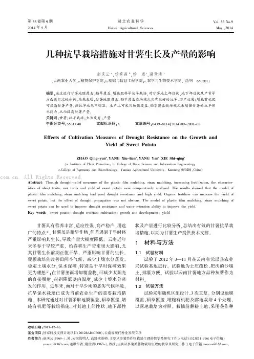 几种抗旱栽培措施对甘薯生长及产量的影响