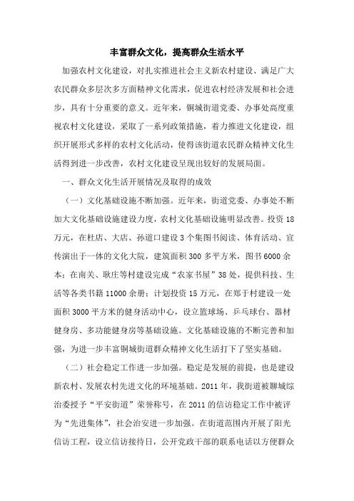 丰富群众文化,提高群众生活水平论文