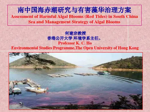 何建宗教授：南中国海赤潮与有害藻华