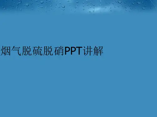 最新烟气脱硫脱硝PPT讲解精品课件ppt