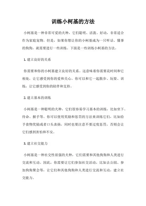 训练小柯基的方法