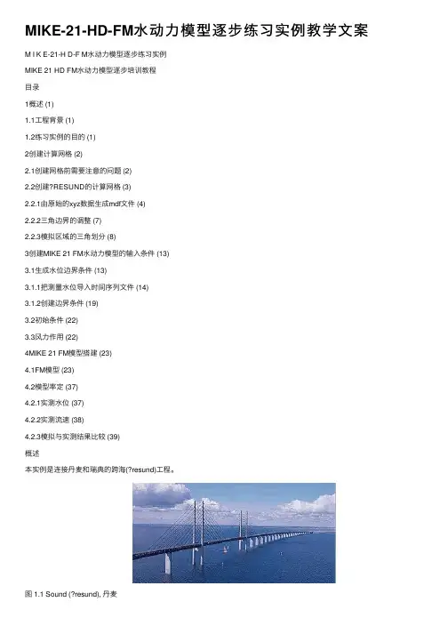 MIKE-21-HD-FM水动力模型逐步练习实例教学文案