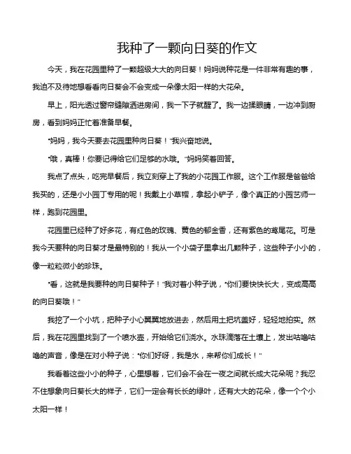 我种了一颗向日葵的作文