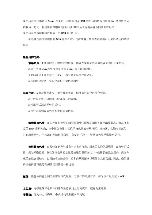 染色体