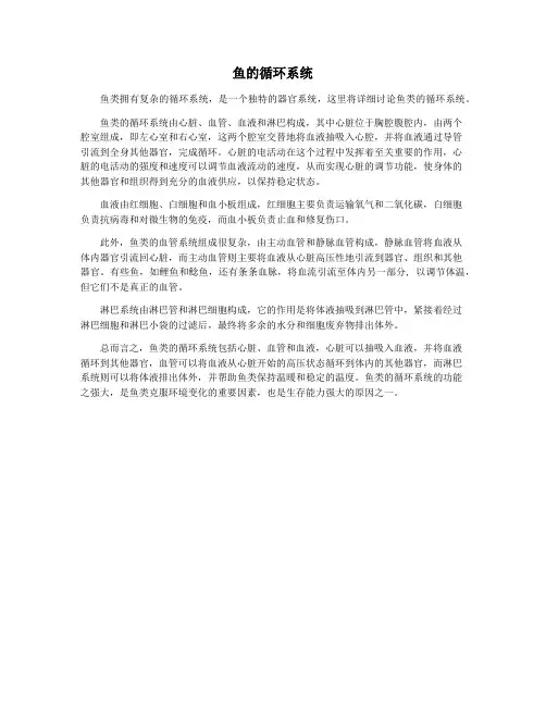 鱼的循环系统