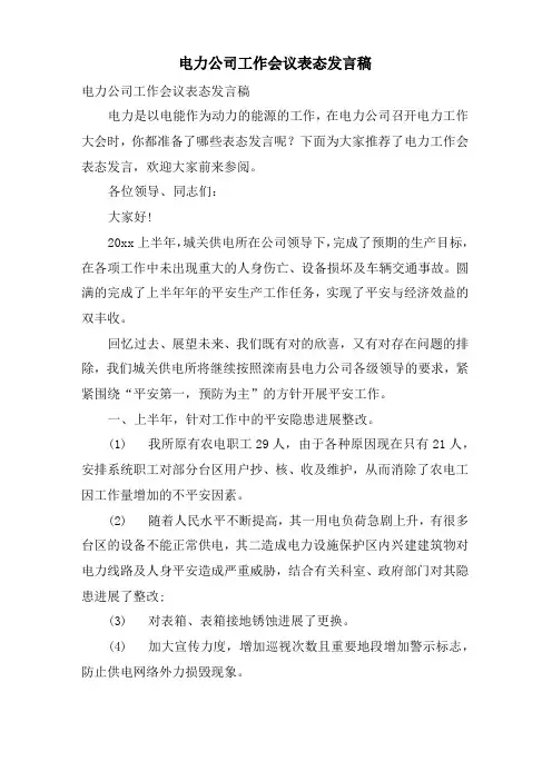 电力公司工作会议表态发言稿