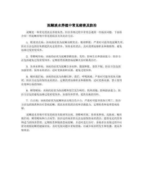 泥鳅淡水养殖中常见病害及防治