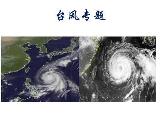 高考地理专题系列台风(共20张PPT)