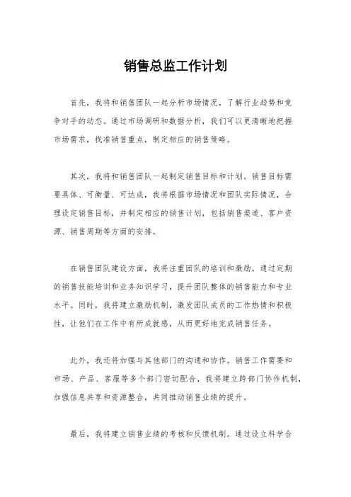 销售总监工作计划