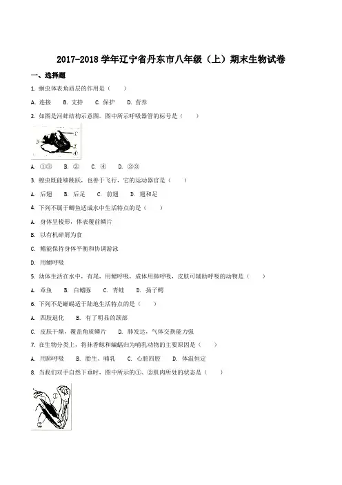 辽宁省丹东市2017-2018学年八年级上学期期末考试生物试题(原卷版)