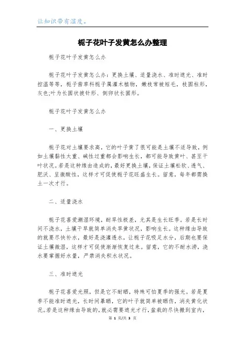 栀子花叶子发黄怎么办整理