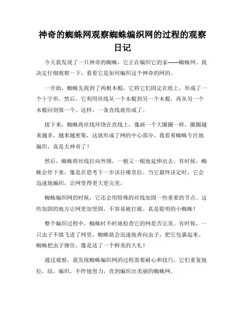 小学三年级作文神奇的蜘蛛网观察蜘蛛编织网的过程的观察日记