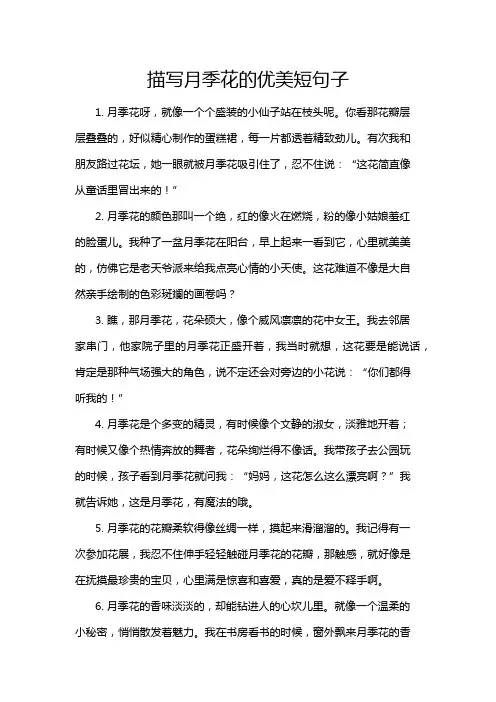 描写月季花的优美短句子