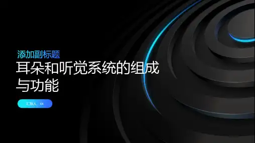 耳朵和听觉系统的组成与功能