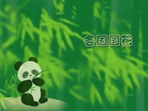 各国国花