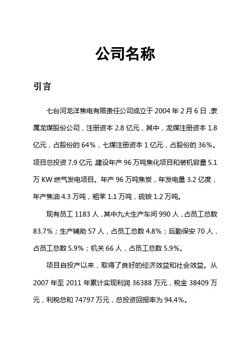龙洋公司简介