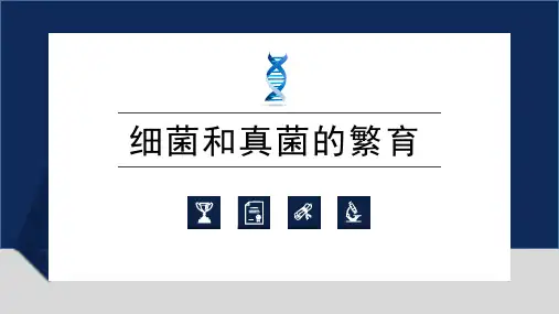 1.6细菌和真菌的繁殖(PPT课件(初中科学)33张)