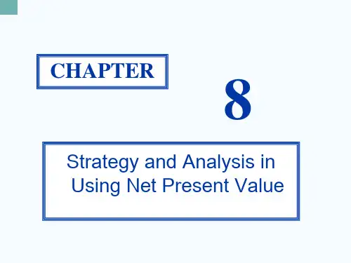 《Corporate Finance》公司财务课件 (14)