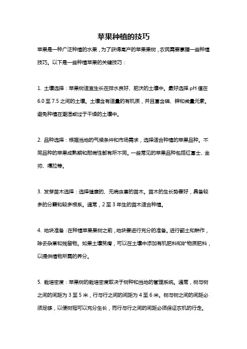 苹果种植的技巧