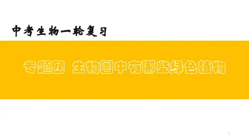 专题-生物圈中有哪些绿色植物(上课用课件)-【过一轮】中考生物一轮复习课件精讲与习题精练 (1)