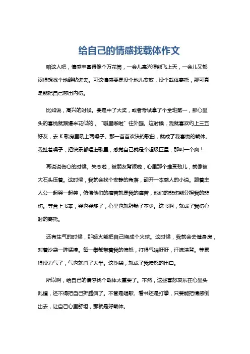 给自己的情感找载体作文