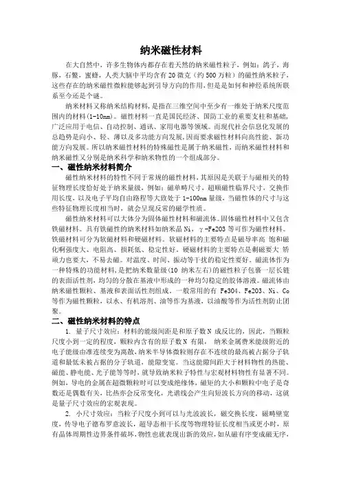 纳米磁性材料
