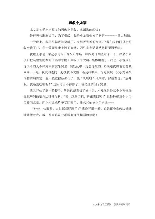 拯救小龙猫_小学作文