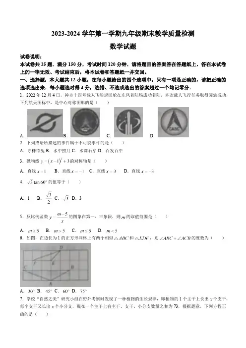 山东省德州市宁津县2024届九年级上学期期末考试数学试卷(含答案)