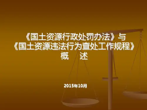 国土资源行政处罚及违法查处规程