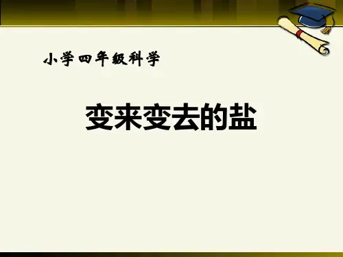 湘教版四年级下册科学《变来变去的盐》PPT说课教学课件