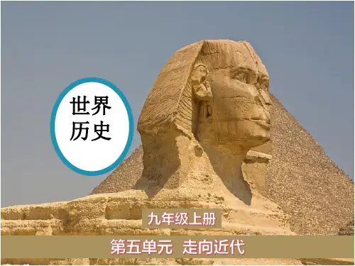 部编人教版九年级上册历史精品教学课件 第16课 早期殖民掠夺 - 副本
